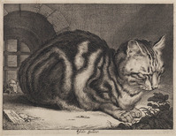 KG 04851
          <br/>
          De grote kat
          <br/>
          <em>Visscher, Cornelis (1629-1658)</em>